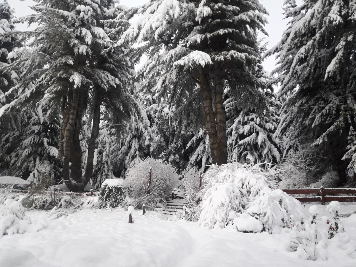 Le Bouquet Apart Hotel Bariloche Zewnętrze zdjęcie